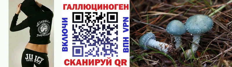 Галлюциногенные грибы MAGIC MUSHROOMS  где купить   Севастополь 