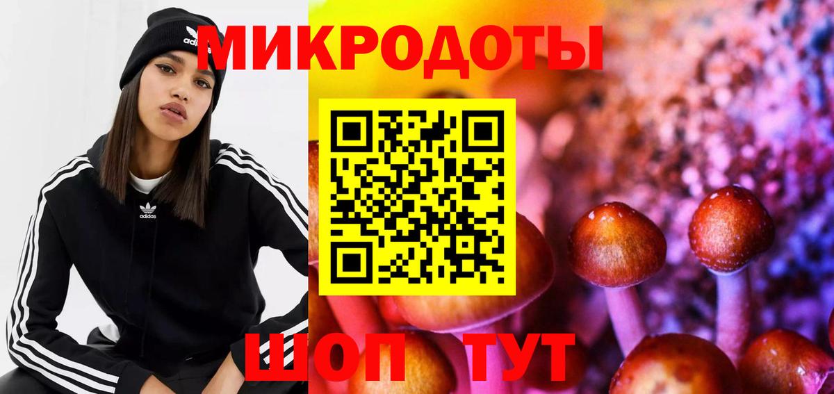 Галлюциногенные грибы Magic Shrooms Севастополь