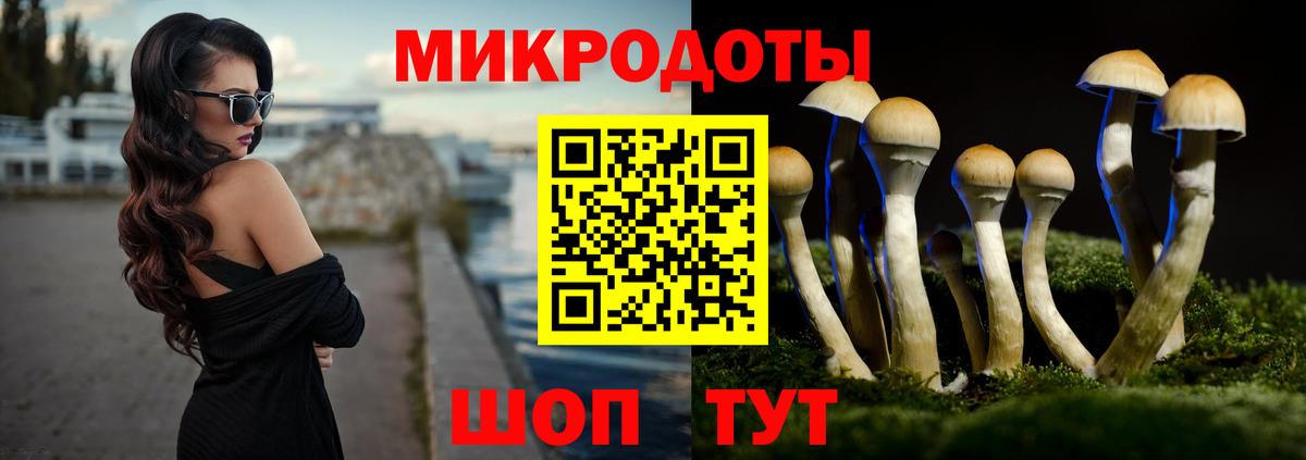 Псилоцибиновые грибы Psilocybine cubensis  Вход с VPN  Севастополь 